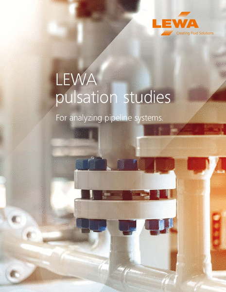 LEWA pulsation studies (USA)